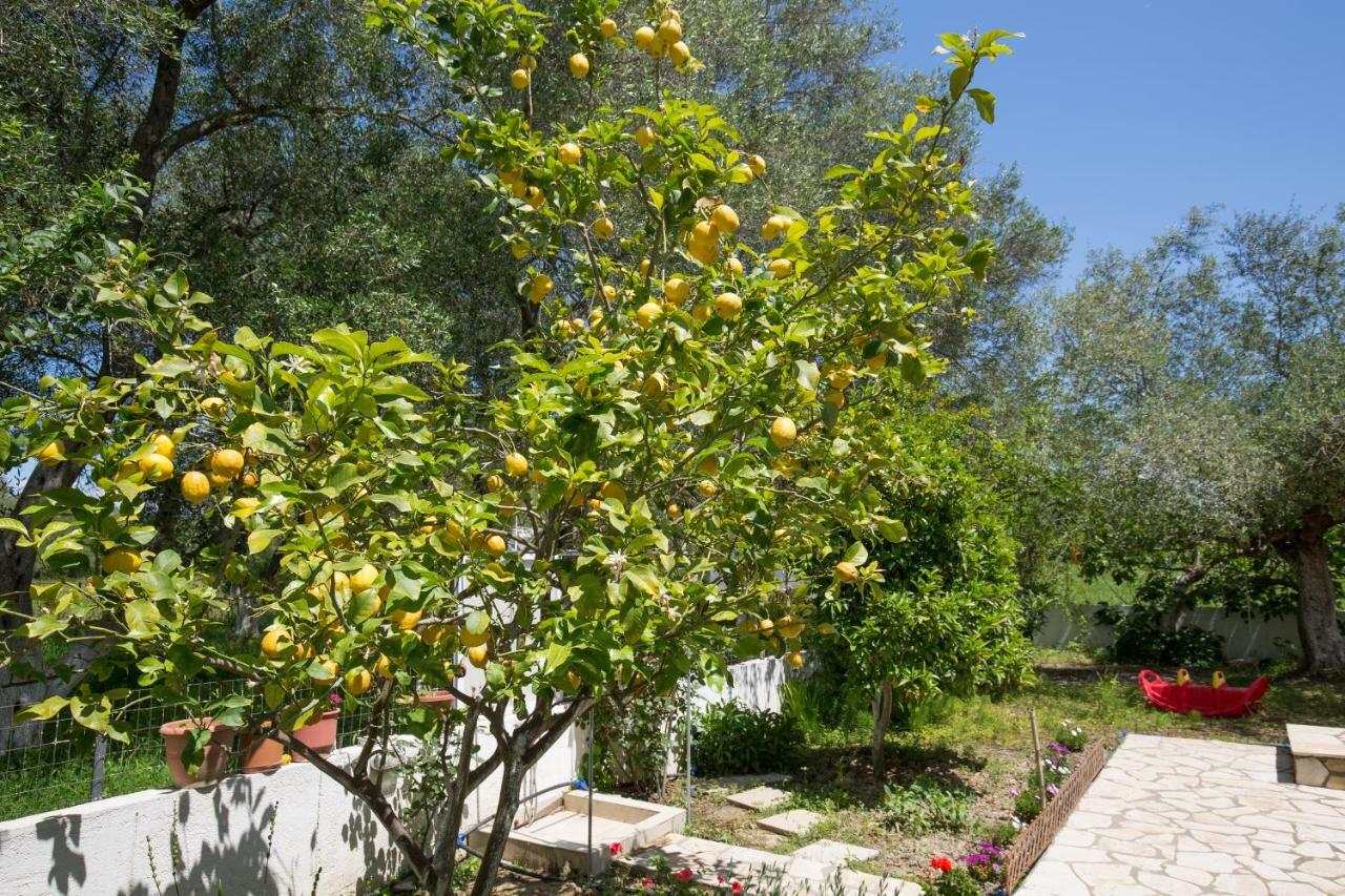 Karia Holiday Home Lefkimmi  Exteriör bild